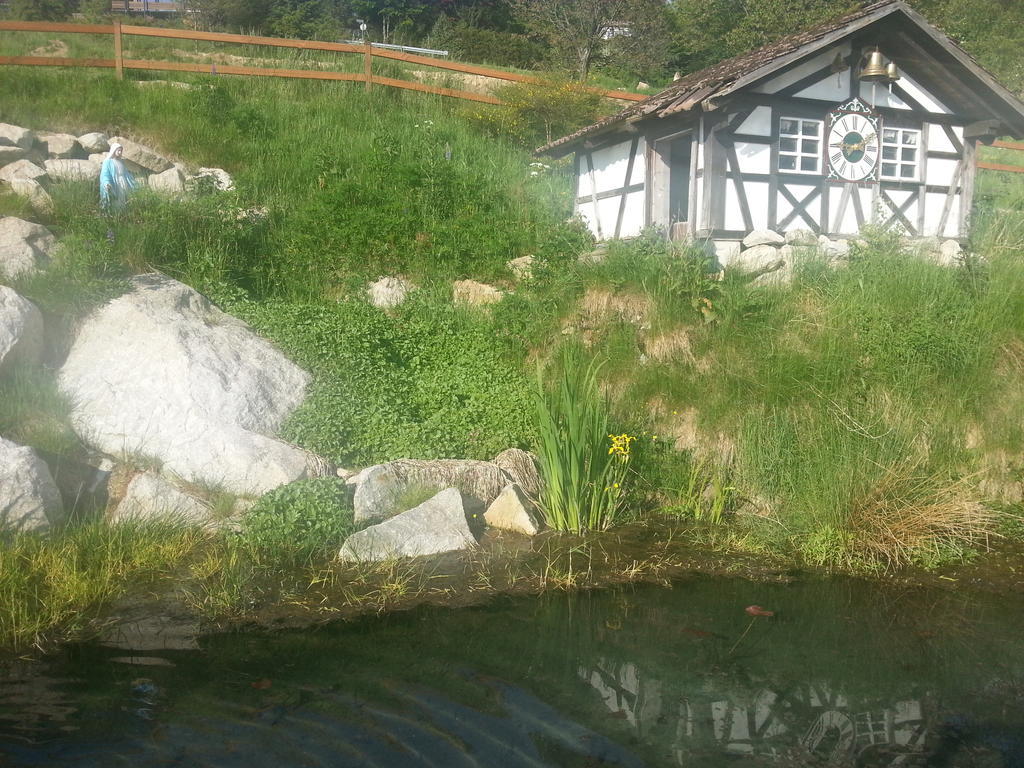 Hotel-Berggasthof Schwarzwaldperle Sasbachwalden Esterno foto